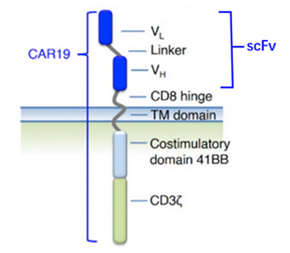 577431f5dac5ba16ccecbb3ee856b201.png
