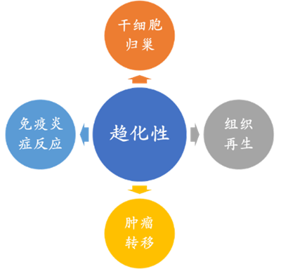 5f1a11054d6d6d77d4c7a842c5af4375.png