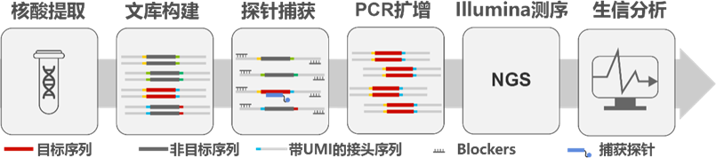 69c5ac58055cee1a472996a0be01acd1.png